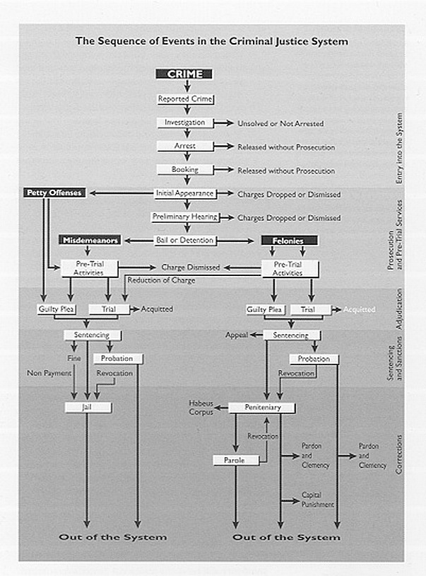 Criminal Trial Flow Chart